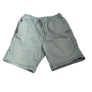 Men's Katin Sage Green Walk Shorts